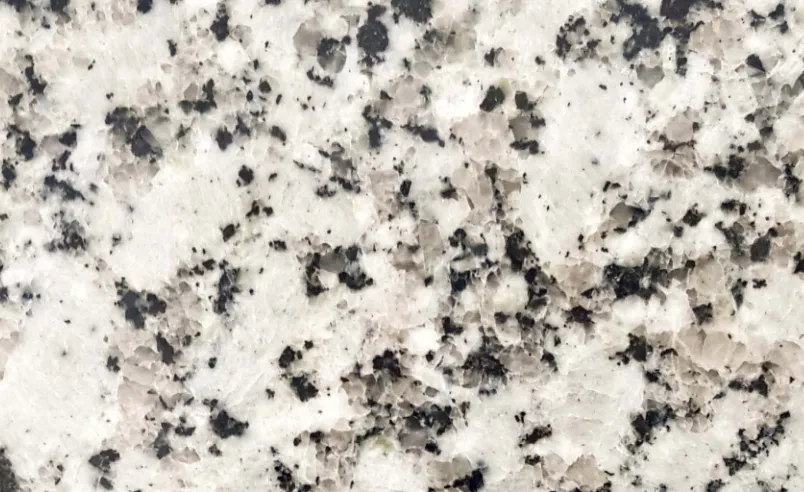 Platinum White - Luxury granite