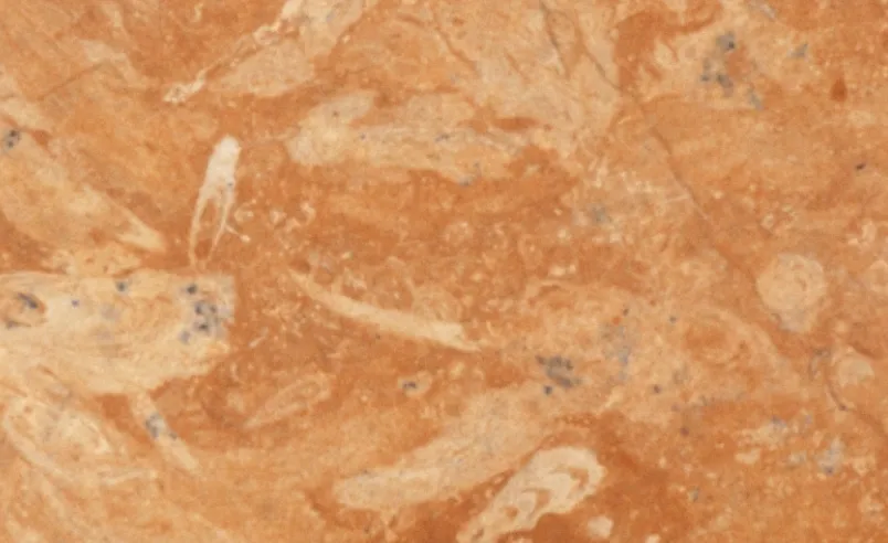 F Gold - Luxury marble