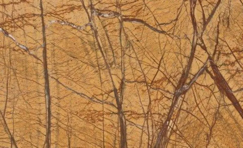 Rain Forest Gold - Luxury marble