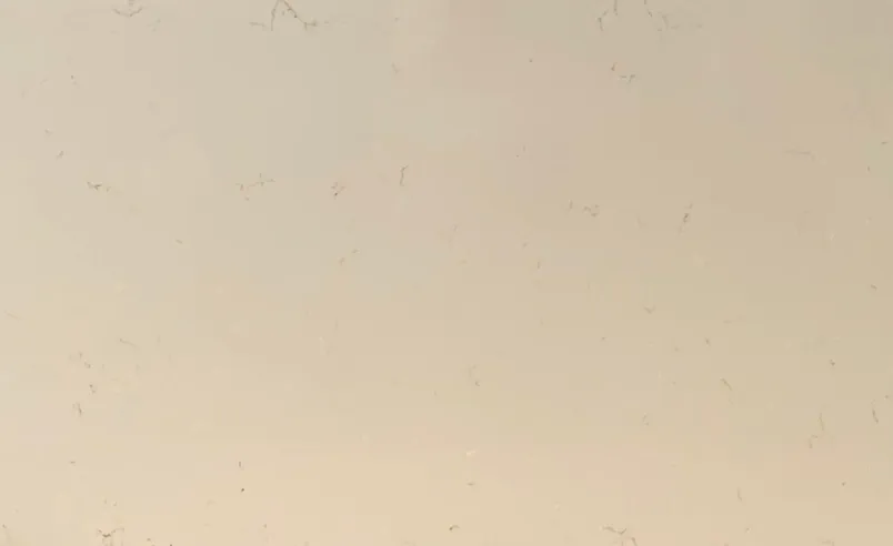 Carrara Goldfish - Luxury quartz