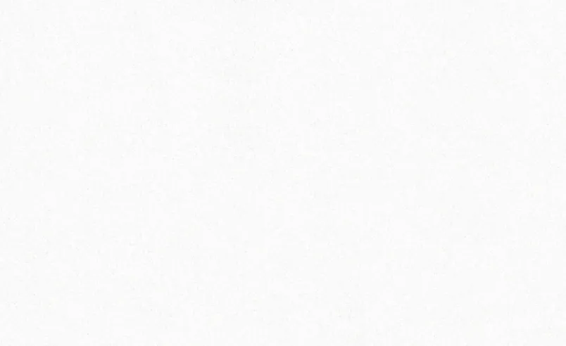 Frost White - Luxury quartz