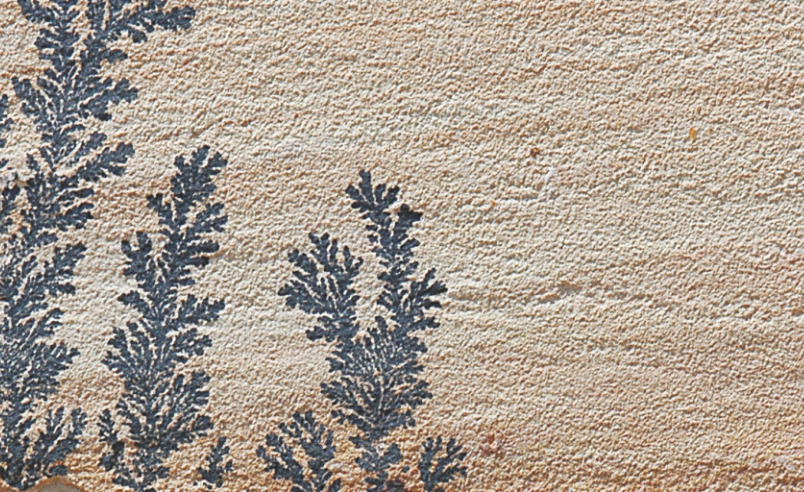 Mint Fossil - Luxury sandstone